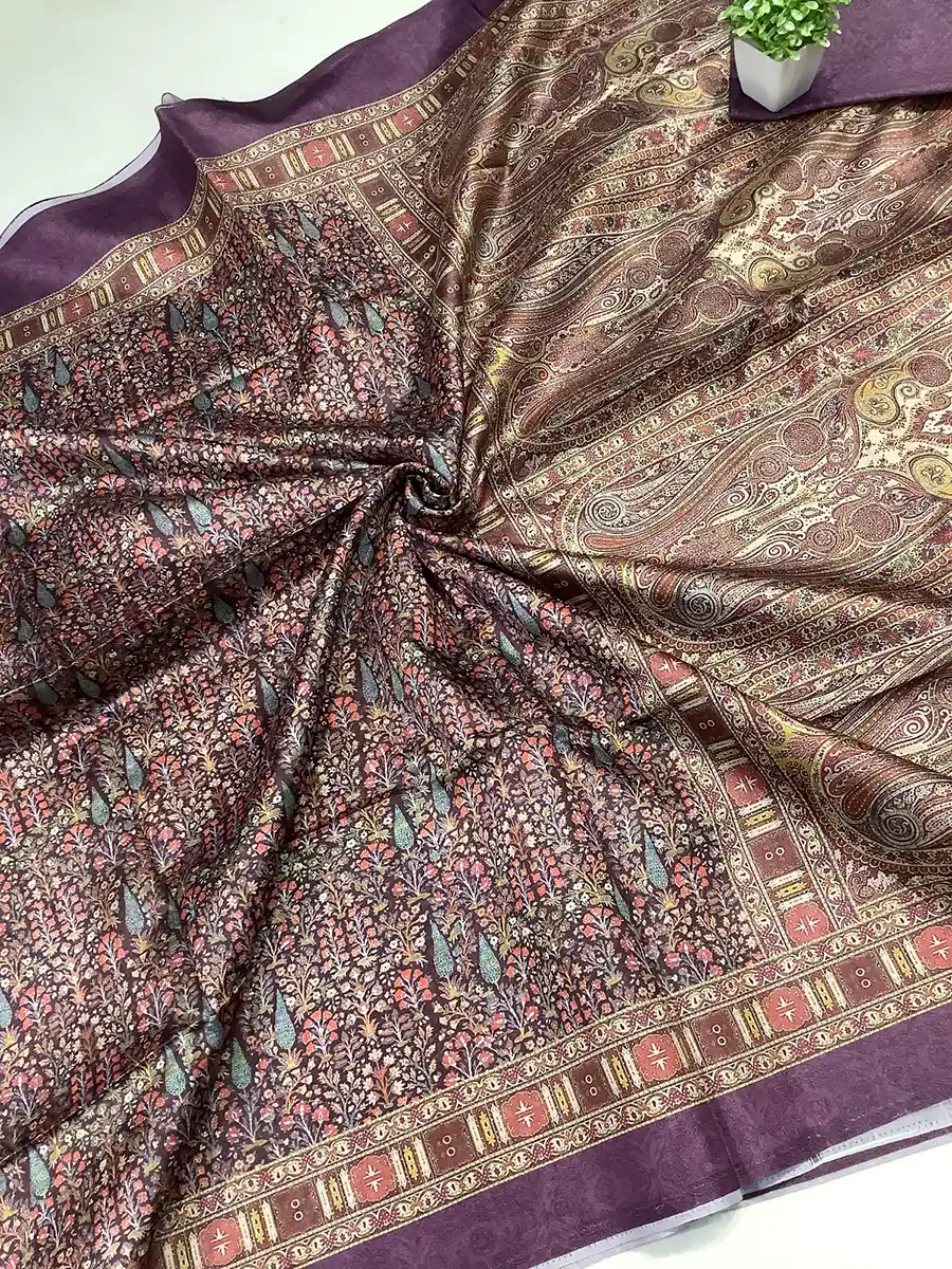 Rasleela Silk Sari-23 options - Image 2