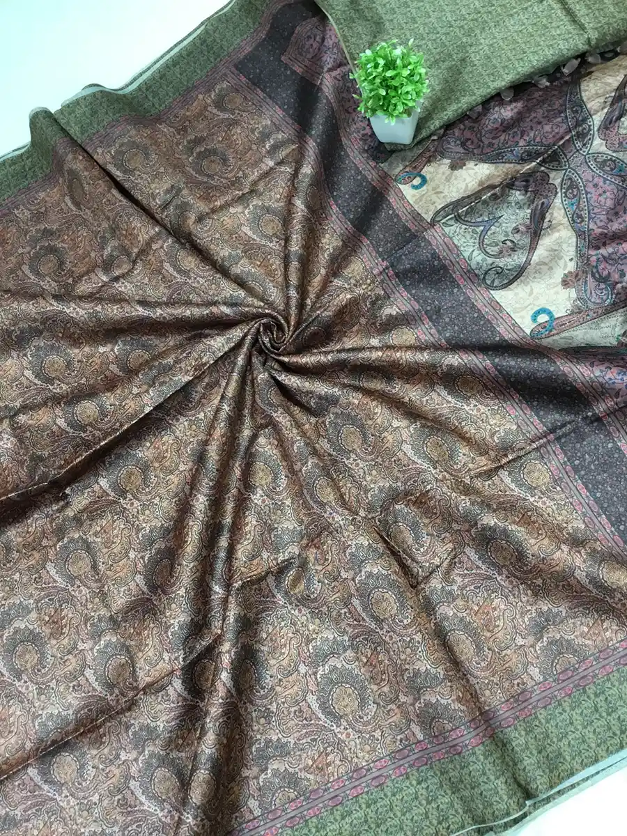 Rasleela Silk Sari-23 options - Image 14