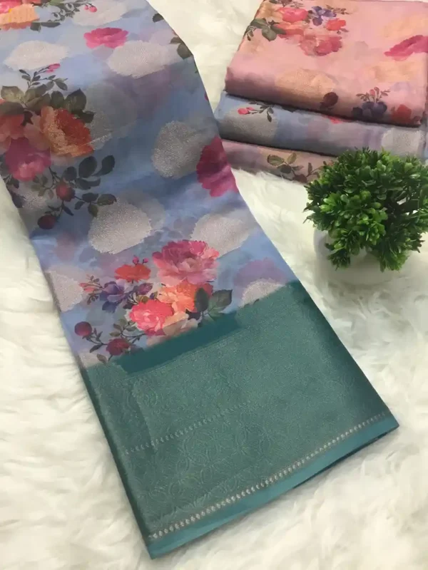 Organza Chiffon Silk Saree 3 options