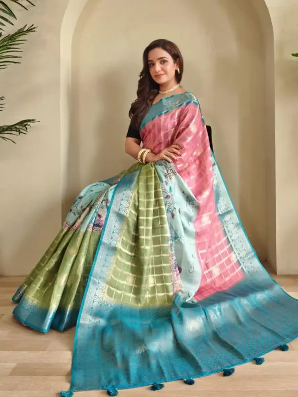 6July-Georgette sari-options